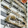 ЦМО Горизонт. кабельный органайзер без окон 19" 1U, 4 кольца, серый (ГКО-4.62)